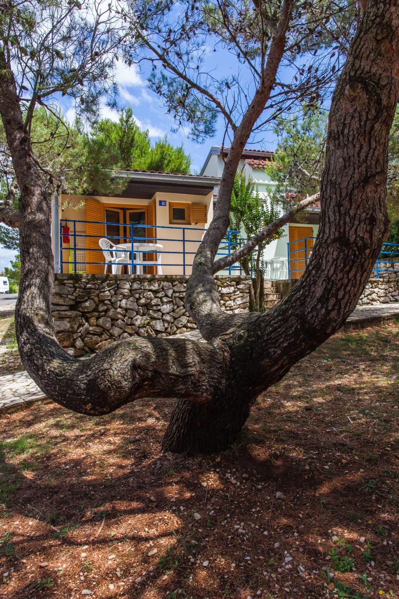 Camping Village Poljana 3*